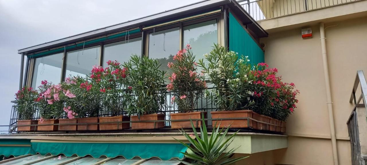 라팔로 La Terrazza Sul Golfo 아파트 외부 사진